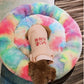 Pet Rainbow Nest