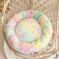 Pet Rainbow Nest